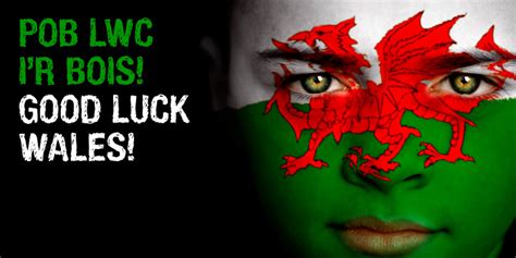 Pob Lwc Good Luck Wales Plaid Cymru The Party Of Wales Flickr