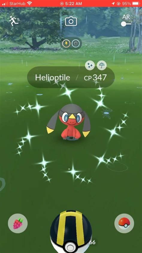 Lifting Zombies On Twitter Retweet This For Shiny Helioptile Luck