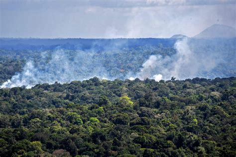 Opinion Goodbye Amazonian Rainforest The Washington Post