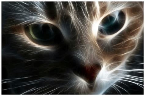 Cat Desktop Wallpapers Top Những Hình Ảnh Đẹp