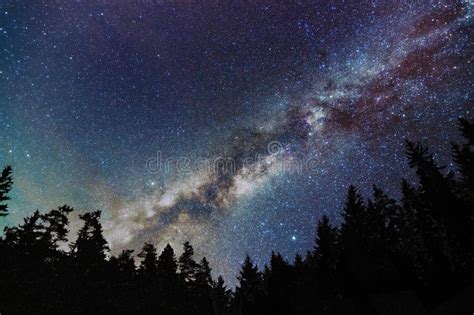 Milky Way Galaxy Starry Sky With Trees Starry Night Stock Image