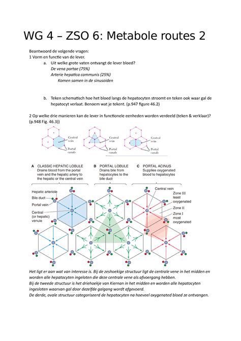 Werkgroep Uitwerkingen Van De Vragen Metabolisme Wg Zso
