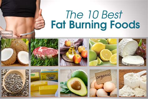 The 10 Best Fat Burning Foods