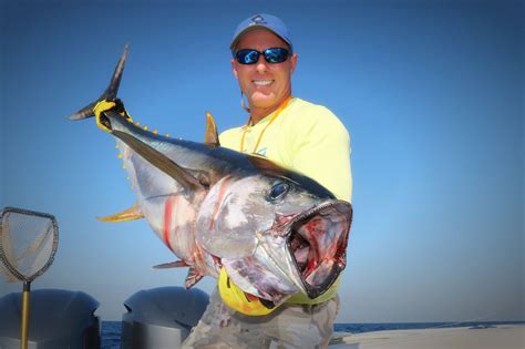 Tuna Report And Pics From The Show The Hull Truth Boating And