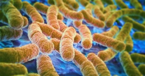 New Mutation Makes Bacteria Resistant To Drugs Time