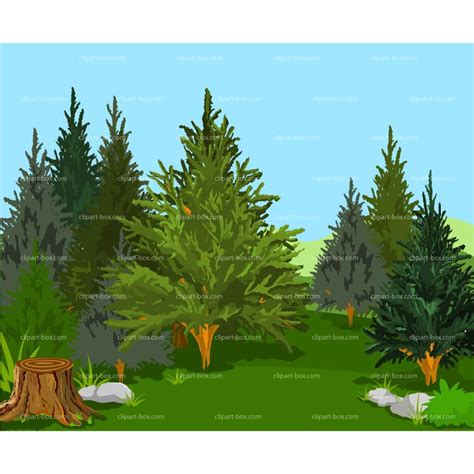 Clipart Forest Beautiful Forest Clipart Forest Beauti Vrogue Co