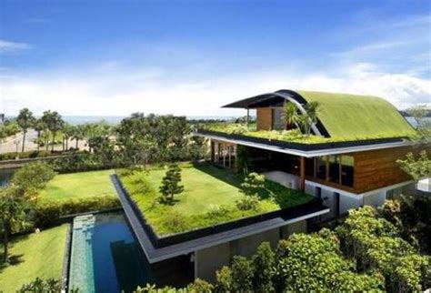 Modern Eco Homes With Green Roof Designs And Rooftop Gardens Telhado