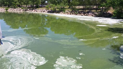 Kdhe Issues Blue Green Algae Warning For Cheney Lake Marion Reservoir