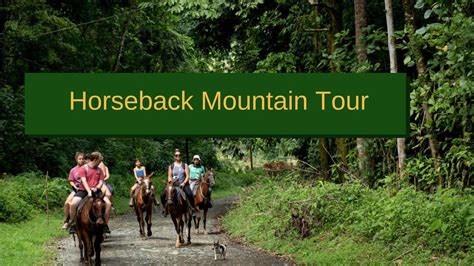 Horseback Riding Manuel Antonio Horseback Waterfall Tour