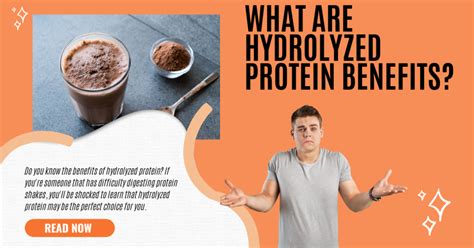 Hydrolyzed Protein Benefits You Probably Dont Know