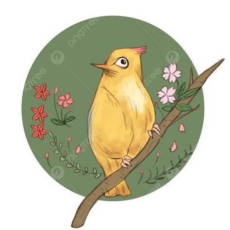 Yellow Bird Png Image Yellow Bird Animal Bird Yellow Png Image For