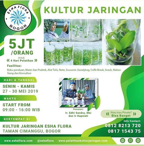 Cache adalah data bersifat sementara yang disimpan pada penyimpanan internal smartphone. Apa itu Kultur Jaringan? Teknik perbanyakan tanaman dalam ...
