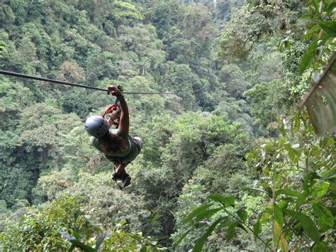 Best zip line tours in puerto vallarta. Original Canopy Zip Line Tour - Welcome to the Congo Trail ...