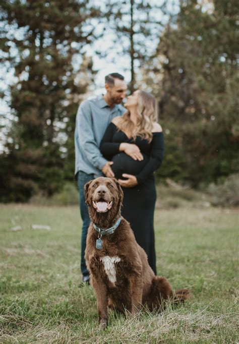 Shaver Lake Maternity Session Meadows With Dog In 2020 Fall Maternity