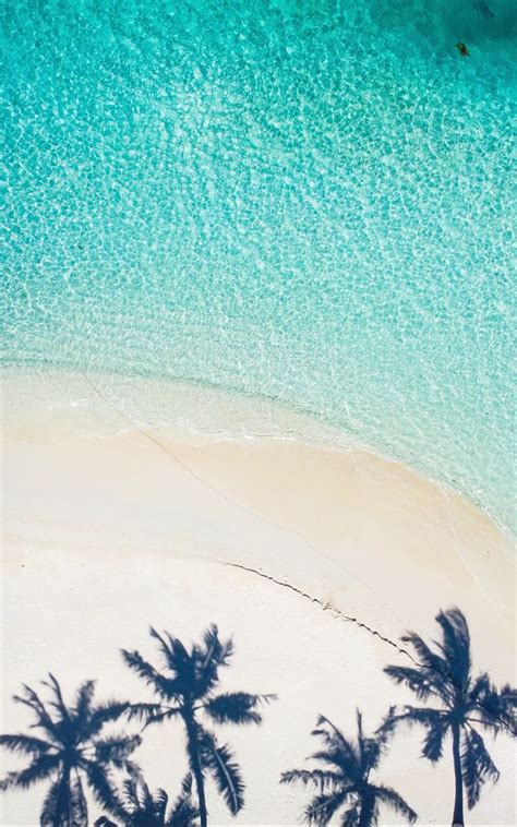 Download Wallpaper 800x1280 Beach Palm Trees Aerial View Shadow