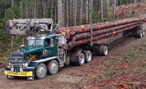 British Columbia Logging December 30 2017 Near Lake Cowichan Bc