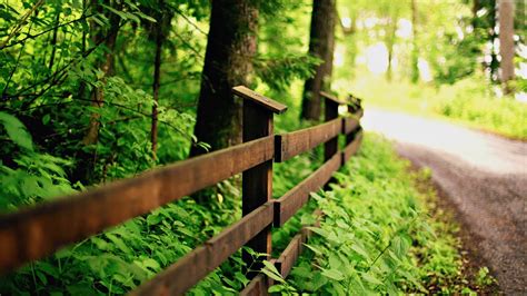 Green Nature Road Wood Fence Wallpaper Travel And World Wallpaper