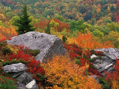 Rocky Outropping In Autumn Blue Ridge Parkway Near Boone Flickr