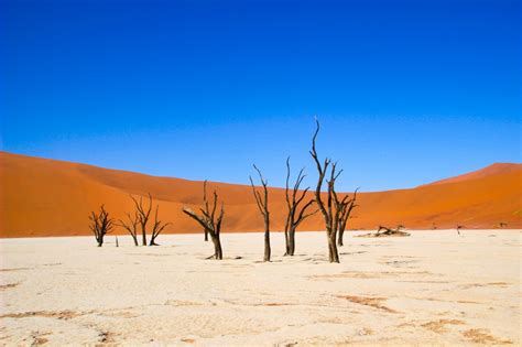 Namíbia Roteiro De 4 Dias No Deserto Africano
