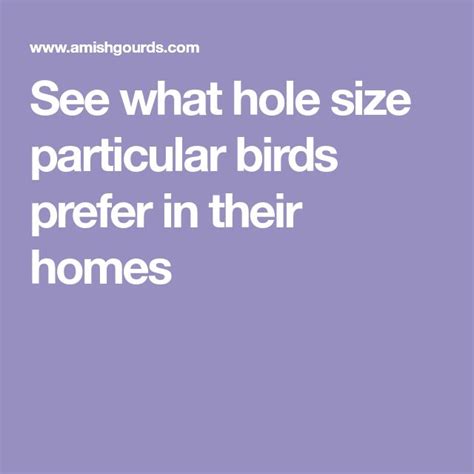 Birdhouse Hole Size Chart Bird Houses What Is A Bird Birds