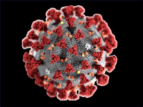 Antivirussoftwareguide.com has been visited by 100k+ users in the past month Coronavirus, tosse e starnuti bastano per il contagio ...
