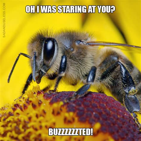 19 Animal Pick Up Lines Because Everything Else You Tried Failed