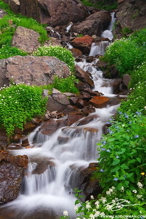 Wildflower Cascade Colorado Waterfalls Waterfall Waterfall Pictures