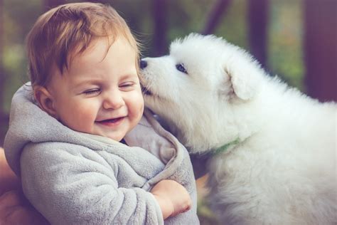 Can Dogs Tell Babies Are Babies