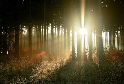 Astonishing Examples Of Sun Flare Photography