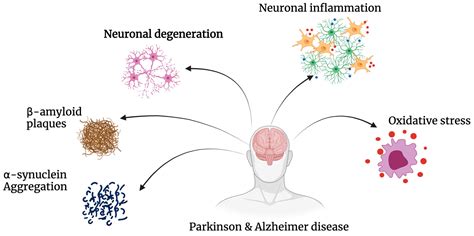 Aetiology And Pathophysiology Of Parkinsons And Alzheimers Disease