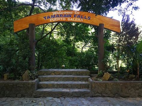 Tamaraw Waterfalls Puerto Galera 2020 All You Need To Know Before