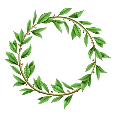 Tree Twig Laurel Wreath With Green Leaves 2522776 Vector Art At Vecteezy