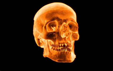 Free skull wallpapers and skull backgrounds for your computer desktop. 3D Skull Wallpaper HD 05914 - Baltana