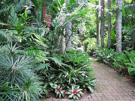 39 Best Tropical Garden Ideas Jungle Gardens Tropical Garden Design