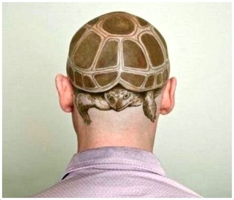 35 Totally Rad Turtles Tattoos For Men And Women Turtle