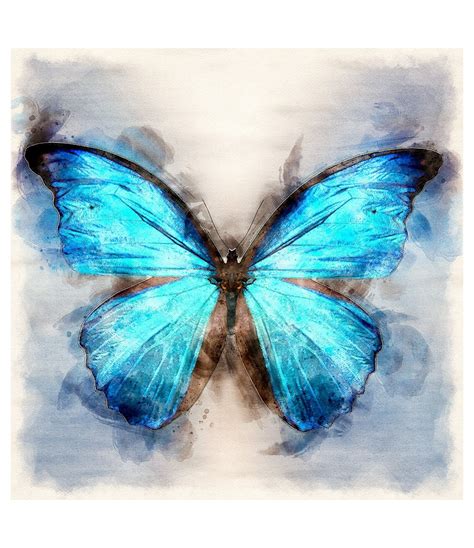 The Bluest Butterfly Art Prints In 2020 Butterfly Art Blue