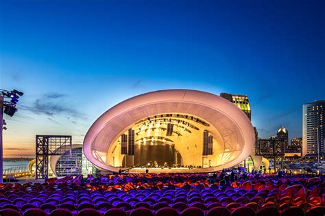 Voices for Children - Starry Starry Night