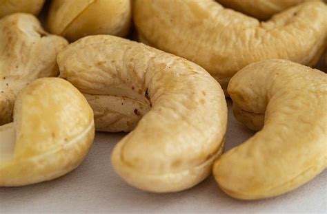 Yes, cashews are generally safe for dogs to eat. Can Cats Eat Cashews? - Are They Safe For Cats? - ExcitedCats