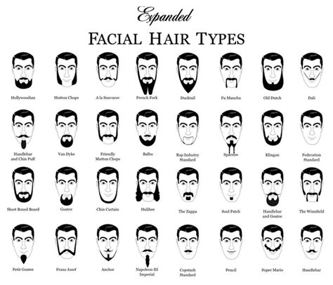 I used this quiz to figure out all about my natural hair! Expanded Facial Hair Types Chart | Types of facial hair ...