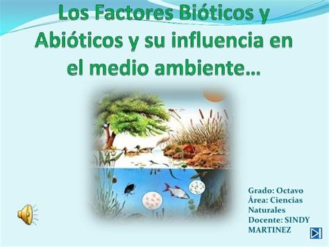 43 Ecosistemas Factores Bioticos Y Abioticos Images