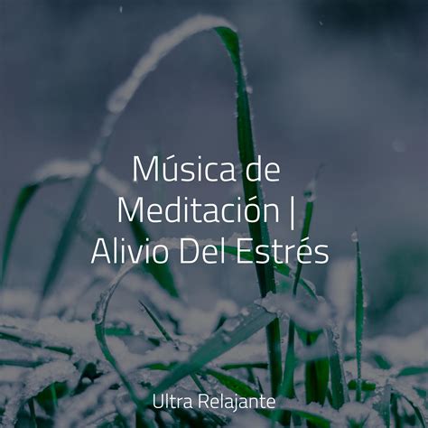 Sonidos Del Océano Canciones de Cuna Relax Musica relajante con