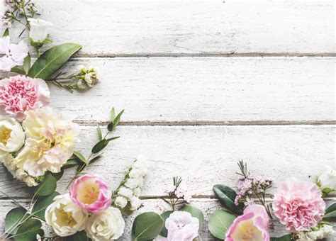 Various Fresh Flowers With Blank Design Space On Wooden Background