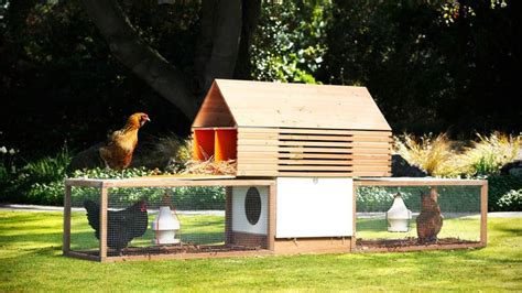 super stylish chicken coops backyard projects chicken coop raising backyard chickens