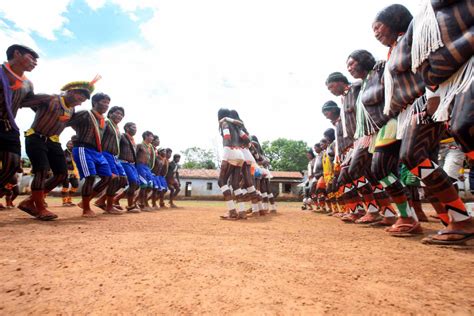 Povos Indígenas Se Preparam Para Levar Cultura E Debates A São Félix Do Xingu Agência Pará