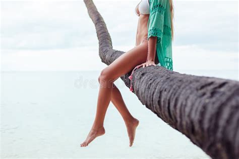 Cropped View Of Girl In Bikini Sitting On Palm Tree Over Stock Image