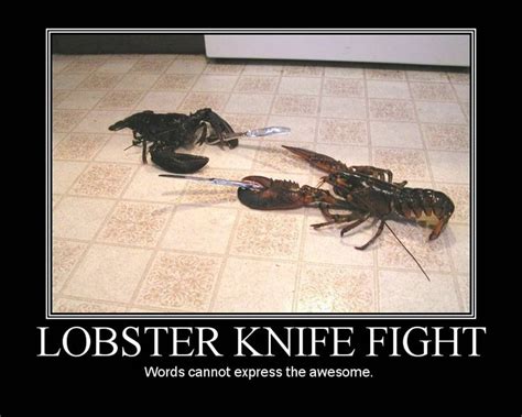 Lobster Knife Fight Funny Images Funny Photos Funny Pictures