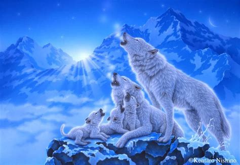 The Art Of Kentaro Nishino Pet Wolf Wolf Art Animal Art