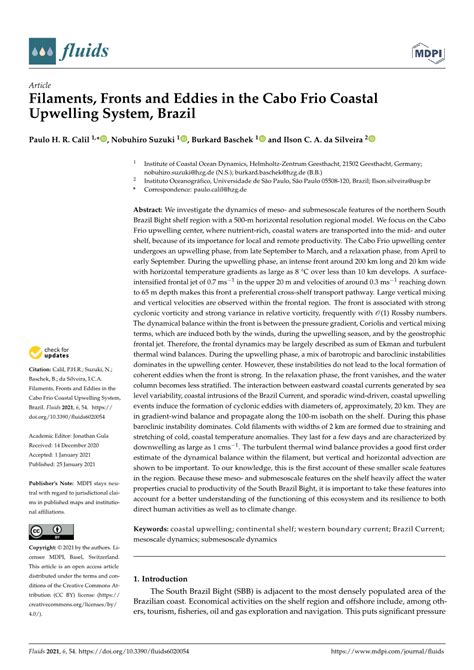 Filaments, Fronts and Eddies in the Cabo Frio Coastal Upwelling System