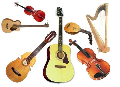 Instrumentos De Cuerda Instrumentos Musicales Poliritmia