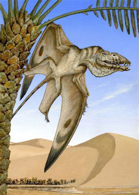 Scientists Discover Previously Unknown Species Of Giant Pterosaur With Fang Like Teeth